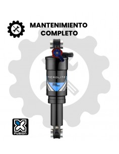 Mantenimiento completo...