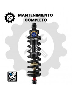 Mantenimiento completo X-Fusion Vector Coil