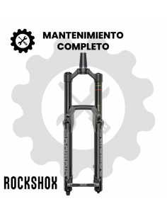 Mantenimiento completo RockShox Domain