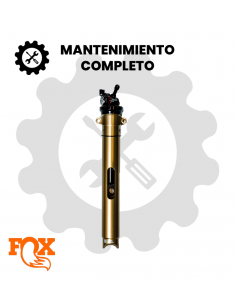 copy of Mantenimiento Fox...