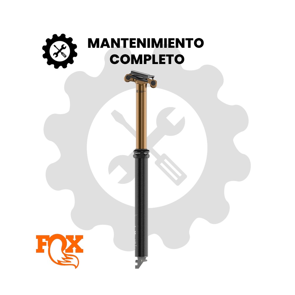 Mantenimiento completo Fox Transfer
