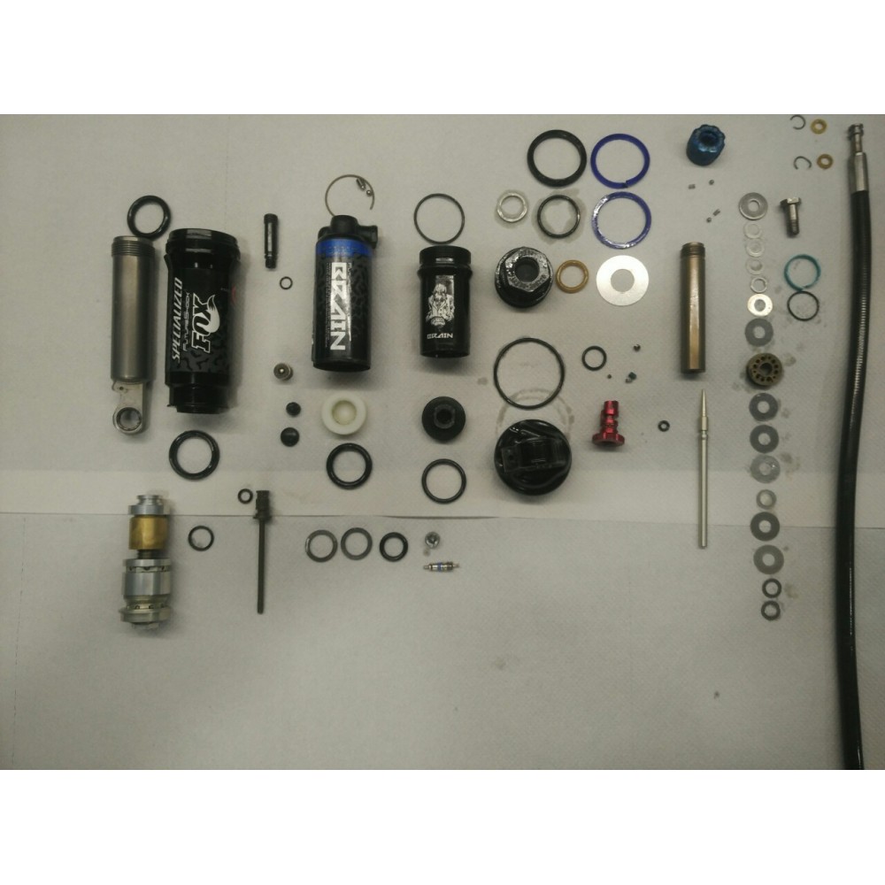 Revisión Completa Fox Brain Revisión Completa Fox Brain