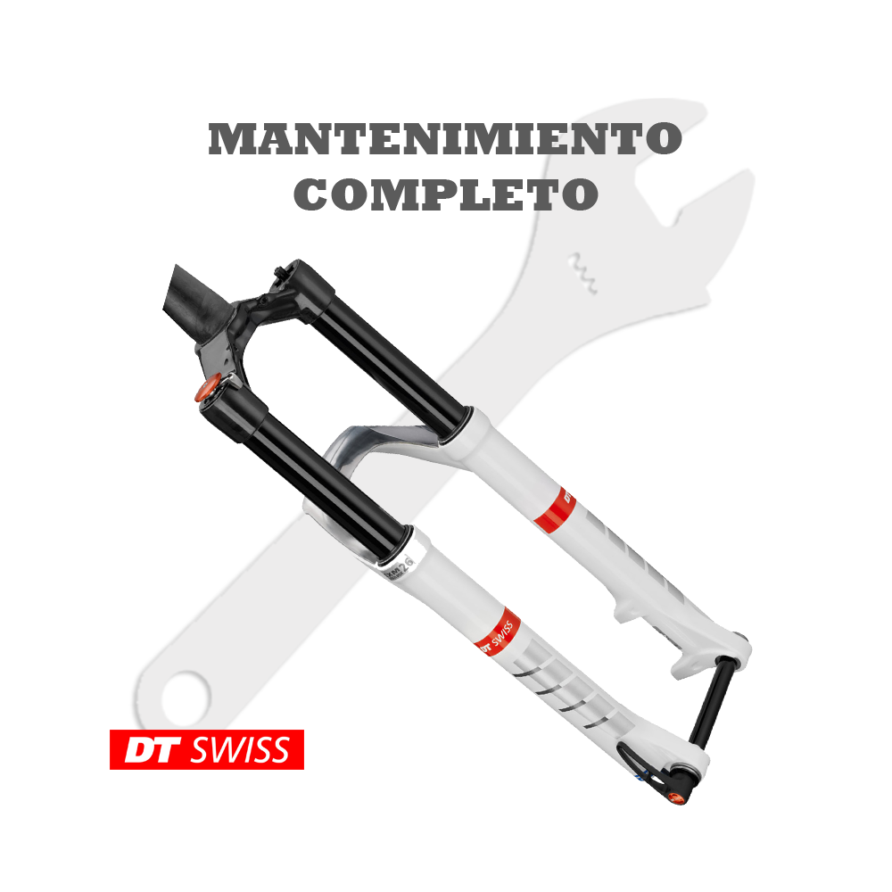 Mantenimiento completo DT Swiss Torsion Box Mantenimiento completo DT Swiss Torsion Box