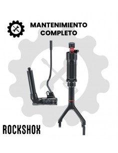 Mantenimiento completo Rock Shox Brain