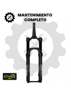 Mantenimiento completo DVO Beryl