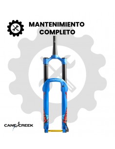 Mantenimiento completo Cane Creek Helm