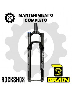 Mantenimiento completo RockShox SID Brain