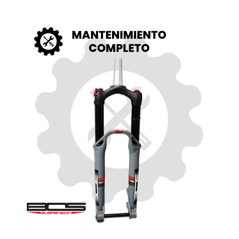 Mantenimiento completo Bos Deville