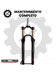 Mantenimiento completo Bos...